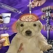 Neurología