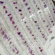 S4: Microbio & histo