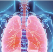 PHA-2154 - Systèmes sensoriels et respiratoire II