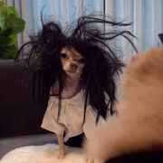 Philippine Tourism, Geography And Culture