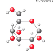 Biochimie
