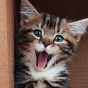 nora - a-level chemistry