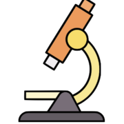 Bases histopatológicas FER