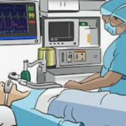 (AM)Advanced Principles A (Spring 2025)