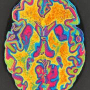 UOB COGNITIVE PSYCHOLOGY