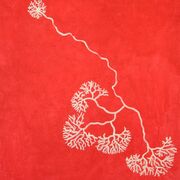 UOB BIOLOGICAL PSYCHOLOGY