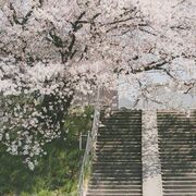 Maths - Stats and mechanics