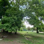 Introduction to Cell and Molecular Biology (ICMB)