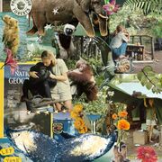 Zoology