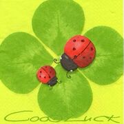 2 | PRELIMS — SEM 2 🐞