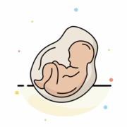 MED-1223 (Obstétrique) - Examen 1 (Charles)