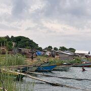 BIOL 1080 Concepts of Bio. Lab