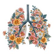 Anatomy and Physiology II