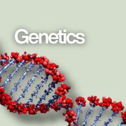 Genetics