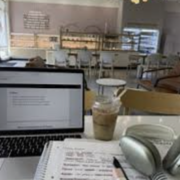 Pippa's Study dashboard 2026