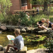 Environmental Science🌿