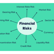 Management of Financial Risk