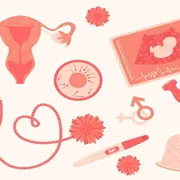 GINECOLOGIA E OBSTETRÍCIA (GO)