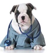 Enfermería - Examen 1