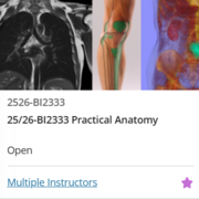 Limbs Anatomy