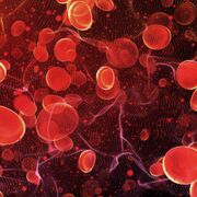 NUR 334 - Hematology (Wk 2)