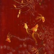 Anatomie et physiologie