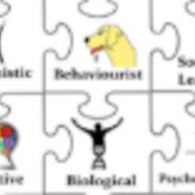 A Level Psychology: Approaches