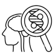 A Level Psychology: Biopsychology