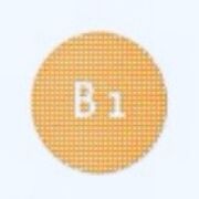 Menschen B1