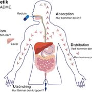 Allmän Farmakologi 💊🫀