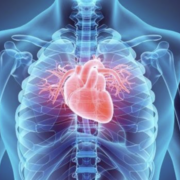 Huss PHA-2183 cardio 2