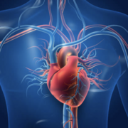 Huss PHA-2183 Cardio 2