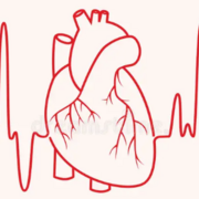 Cardiologia