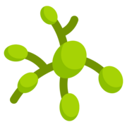 Medical Terminology // Lymphatic & Hematic