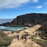 Computer Information Systems