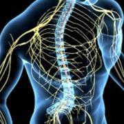 Médicaments du système nerveux II