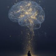 Thinking, Emotion and Consciousness