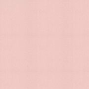 Z Biology practicals