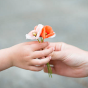 CONSULTATION (GOOD PERSON SIMULATOR)