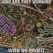 Microbiology