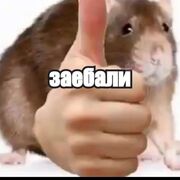English