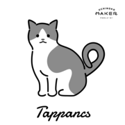 Irodalom kisérettségi tények