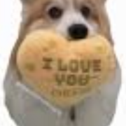 HOSA Environmental Health