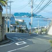 5_Egyed feletti szerveződési szint