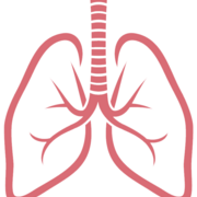 Medical Terminology // Respiratory System