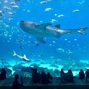 GR. 10 Science - Ms. Slipetz