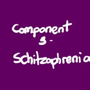 Psych C3- Schitzophrenia