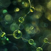 BIO1304 Genetics And Molecular Toolbox