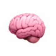 psychology- aggression