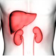 Y3 Exam 2 - Renal And Hepatic